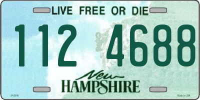 NH license plate 1124688