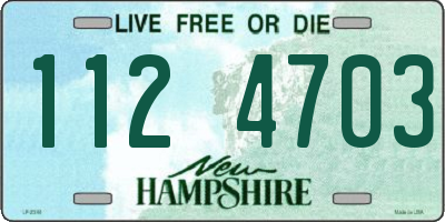 NH license plate 1124703