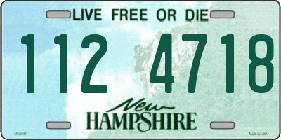 NH license plate 1124718