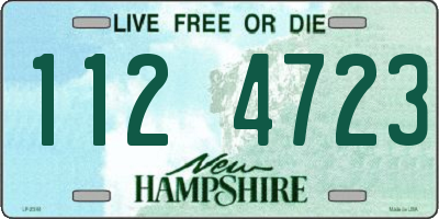 NH license plate 1124723