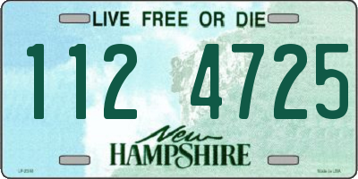 NH license plate 1124725