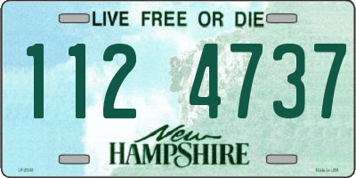 NH license plate 1124737