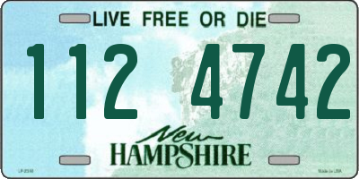 NH license plate 1124742