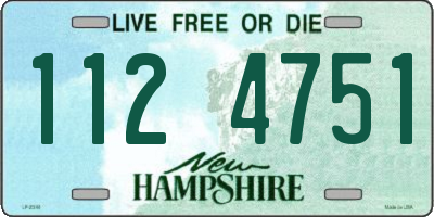NH license plate 1124751
