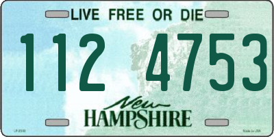 NH license plate 1124753