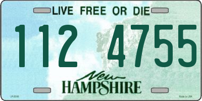 NH license plate 1124755