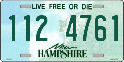 NH license plate 1124761