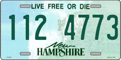 NH license plate 1124773
