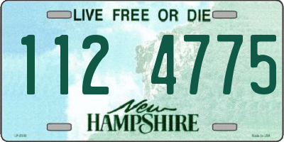 NH license plate 1124775