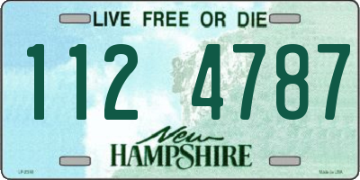 NH license plate 1124787