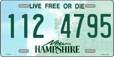 NH license plate 1124795