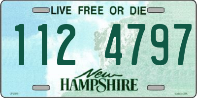 NH license plate 1124797