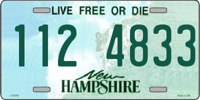 NH license plate 1124833