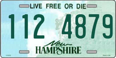 NH license plate 1124879