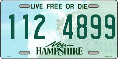 NH license plate 1124899