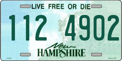 NH license plate 1124902