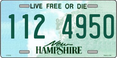 NH license plate 1124950