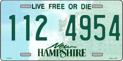NH license plate 1124954