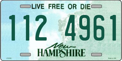 NH license plate 1124961