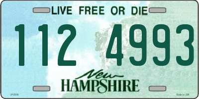 NH license plate 1124993