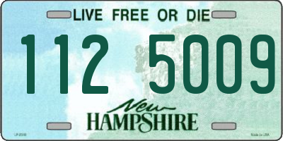 NH license plate 1125009