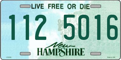 NH license plate 1125016