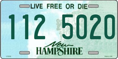 NH license plate 1125020
