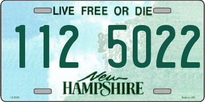 NH license plate 1125022