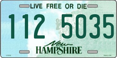 NH license plate 1125035