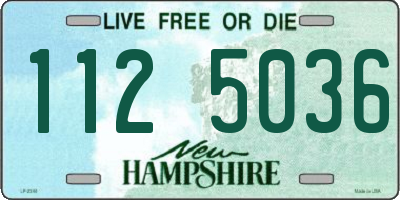 NH license plate 1125036