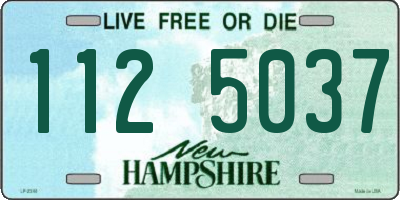 NH license plate 1125037