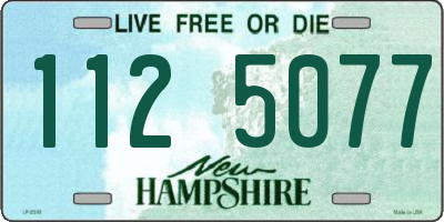 NH license plate 1125077