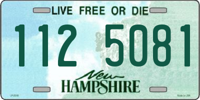 NH license plate 1125081