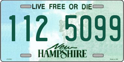 NH license plate 1125099