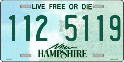 NH license plate 1125119