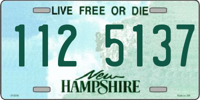 NH license plate 1125137