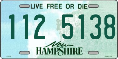 NH license plate 1125138