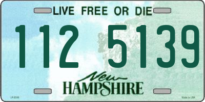 NH license plate 1125139