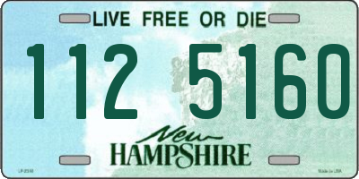NH license plate 1125160