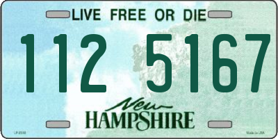 NH license plate 1125167