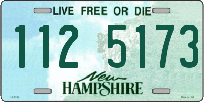 NH license plate 1125173