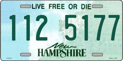 NH license plate 1125177