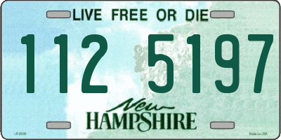 NH license plate 1125197