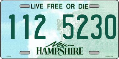 NH license plate 1125230