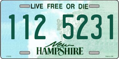 NH license plate 1125231