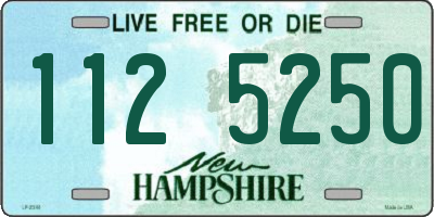 NH license plate 1125250
