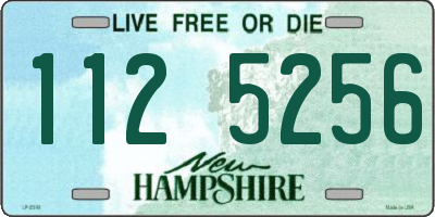 NH license plate 1125256