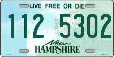 NH license plate 1125302