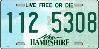 NH license plate 1125308