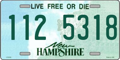 NH license plate 1125318